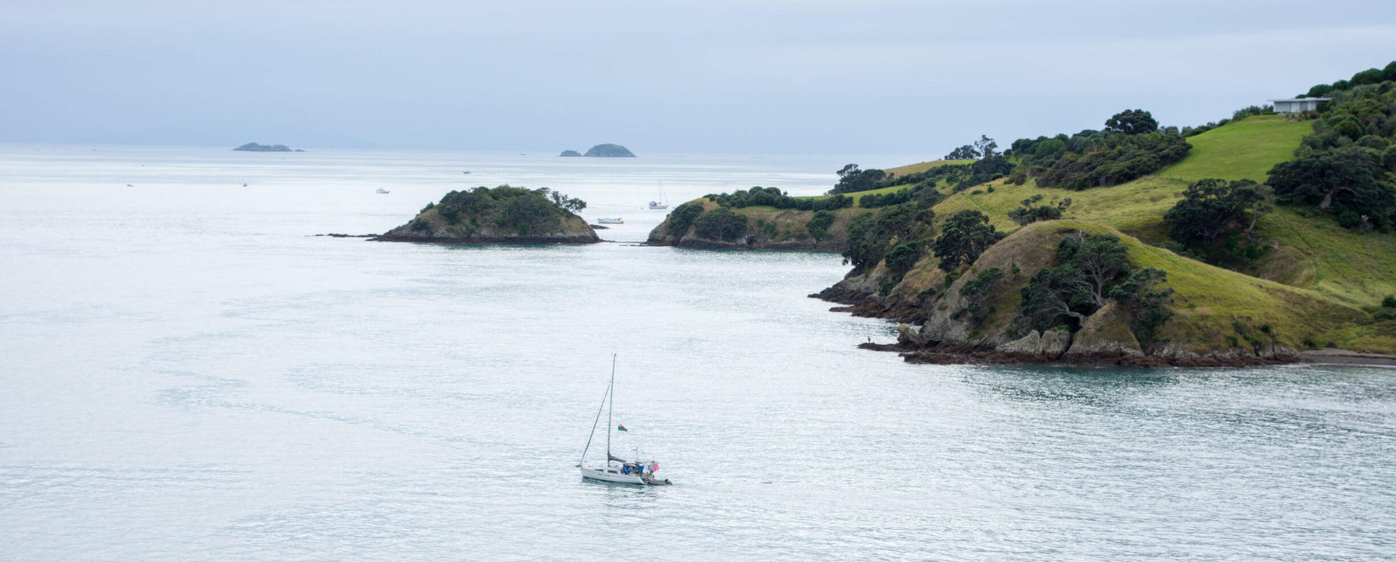 Scenic shot of Waiheke island